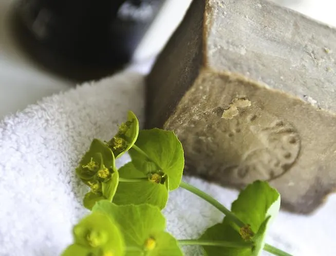 Alojamento de Acomodação e Pequeno-almoço Maison Felisa *